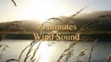 30 minutes Wind Sound | White noise, Pink Noise, Baby soothing, Nature sounds