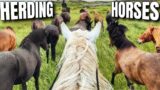 'IF YOU FALL, FOLLOW THE TRACKS' Herding wild horses