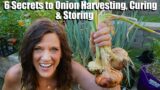 6 Secrets to Onion Harvesting, Curing & Storing for Max Size, Flavor & Shelf Life