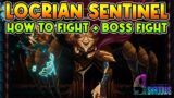 9 YEARS OF SHADOW How to Fight Locrian Sentinel Boss Fight