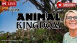 A wild time at Disney’s Animal Kingdom! #live