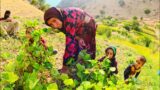 Against All Odds: A Nomadic Family's Brave Journey Beyond Poverty | Life in the Shadow of Courage