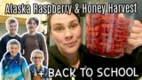 Alaska Harvest Time & Back to School Celebration! HONEY & TONS of Raspberries