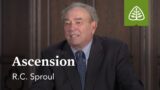 Ascension: What Did Jesus Do? – Understanding the Work of Christ with R.C. Sproul