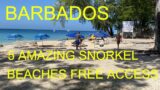 BARBADOS HOLETOWN: 5 AMAZING SNORKEL BEACHES, EASY OFFSHORE ACCESS