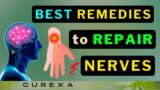 BEST REMEDIES to Prevent & Repair Nerve Damage !