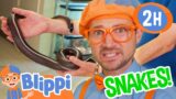 Blippi and Meekah Learn About Snakes! 2 Hours of Educational Videos for Kids and Families