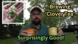 Brewing 'Clover Tea' ~ Surprisingly Good!