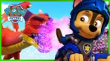 Chase and Marshall Save Barkingburg and More! | PAW Patrol | Cartoons for Kids Compilation