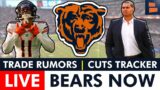Chicago Bears Now: Live News & Rumors + Q&A w/ Harrison Graham (Aug. 28)