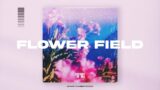 City Pop Type Beat, R&B Instrumental "Flower Field''
