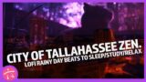 City of Tallahassee Zen. Lofi Rainy Day beats to sleep/study/relax