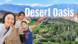 Cute UYGHUR BOY took me to his home – Uyghur life in Turpan Desert Oasis | S2, EP42