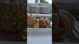 DIY Terracotta Jack-O-Lantern #pumpkin #jackolantern #falldiy #halloweendiy #falldecor