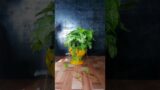 DIY Terracotta Pitcher Planter: A Cheap and Easy Way to Add Plants to Your Home