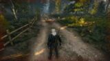DRIVE BY SWINGING The Witcher 3: Wild Hunt DEATH MARCH!