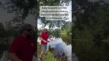 Dad to the rescue, fishing lure stuck in a tree!