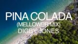 Digby Jones – Pina Colada (Mellower Mix) NEW FOR SEPT '23!!!