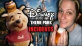 Disney Theme Park INCIDENTS