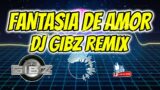 Fantasia de Amor (Dj Gibz Remix) | DISCO REMIX 2023