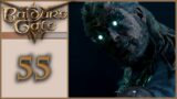 Fear Of The Dark – Let's Play Baldur's Gate 3 – 55 [Tactician – Blind]