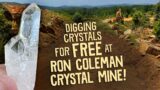 Finding Crystals for FREE at Ron Coleman Crystal Mine!!