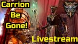From Carrion to the Final Battle Baldur's Gate 3 Livestream