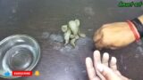 Ganesha Making/ Easy Five minutes  clay art/ Beautiful clay Ganesha/ Terracotta art @AmurtArt
