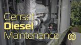 Genset Diesel Maintenance – Emergency Backup Preparedness for Cities and Municipalities