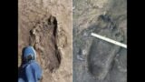Ginormous Sasquatch Encountered SE Indiana & Enormous Bigfoot Tracks Documented
