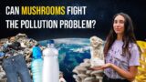 Growing Mushrooms on Junk: Mycoremediation and its Potential to Solve Humanity's Waste Problem