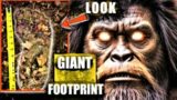 HUGE BIGFOOT TRACKS FOUND | Sasquatch New Update 2023