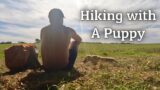 Hiking with a Puppy | Meet Nimbus