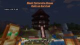 How I built my Black Terracotta House With pink trim Part 2