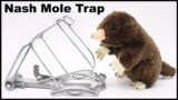 How To Catch Moles with the NASH Mole Trap. Mousetrap Monday