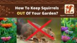 How To Keep Squirrels OUT Of Your Garden (10 WAYS)