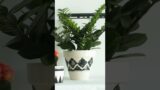How To Paint Terracotta Pots? Easy Technique #1 DIY
