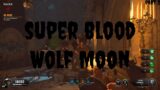 I Got Scared Again – Super Blood Wolf Moon Part 2