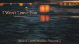 I Won't Leave You (remastered for "Best of Tobin Mueller, Vol. 5: Chill")
