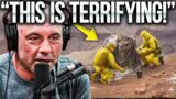 Joe Rogan Talks About The TERRIFYING Situation Of The Grand Canyon Now!