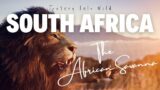 Journey Into Wild South Africa – The African Savanna
