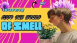 Journey into the wonderful world of smells