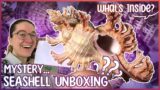Let's Unbox! Seashells From All Around the World | Mail Time Part 2