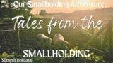 Life on a Smallholding VLOG – The Pigs Leave Tomorrow