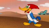 Magic happens in the desert | Woody Woodpecker