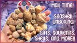 Mail Time! Let's Unbox a HUGE box of Seashells, Gifts, & USA Souvenirs!