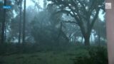 Meteorologist Reynolds Wolf watches Hurricane Idalia down trees in Perry, Florida