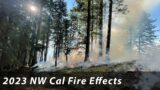 NW California Fire Effects 9/1/2023