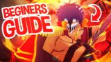 OFFICIAL One Piece New Dream Beginners GUIDE! (Roblox)