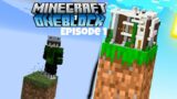 One Block Minecraft | Best Ever | Episode 1